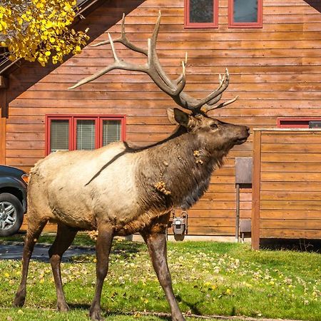 Rams Horn Village Resort Estes Park Kültér fotó