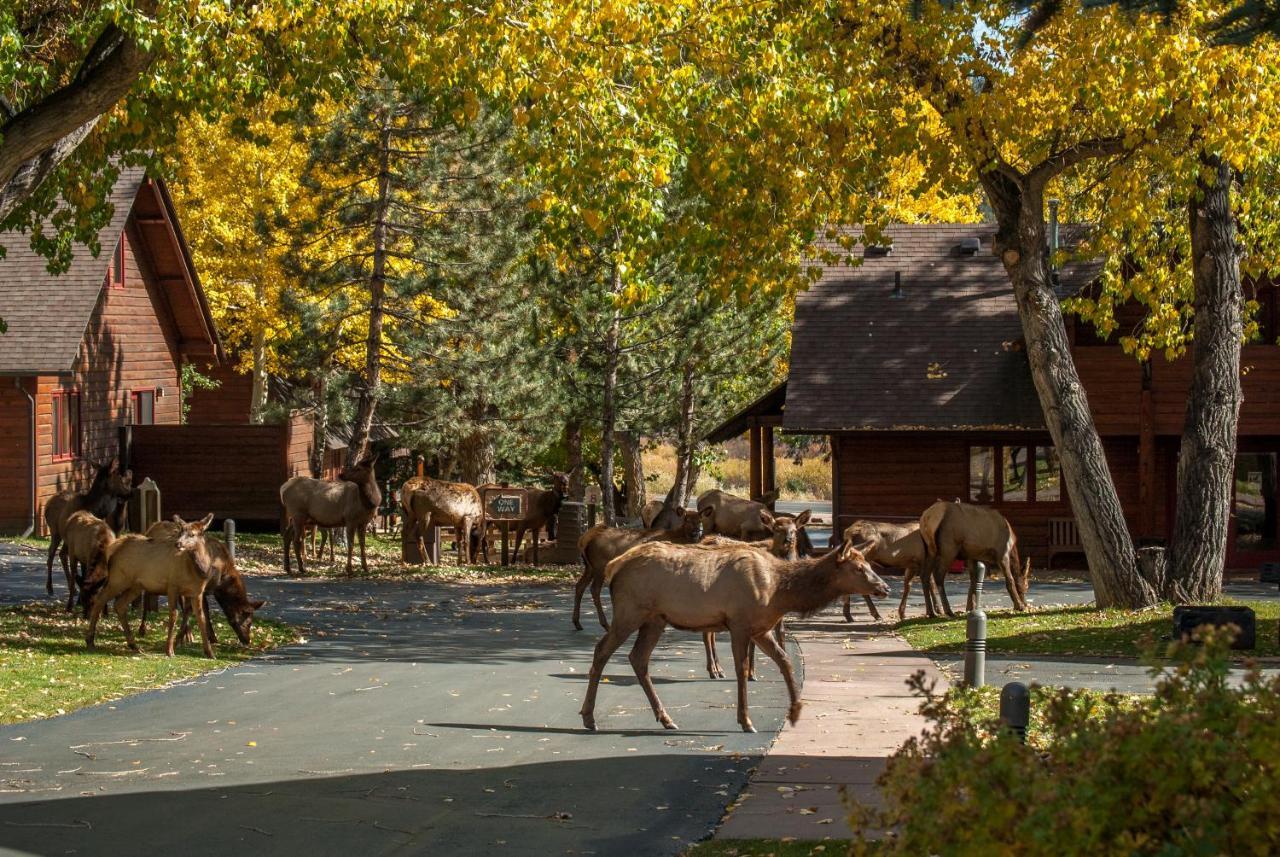 Rams Horn Village Resort Estes Park Kültér fotó