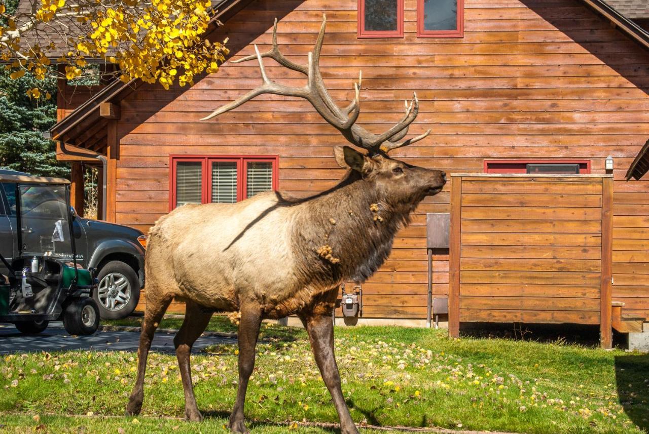 Rams Horn Village Resort Estes Park Kültér fotó